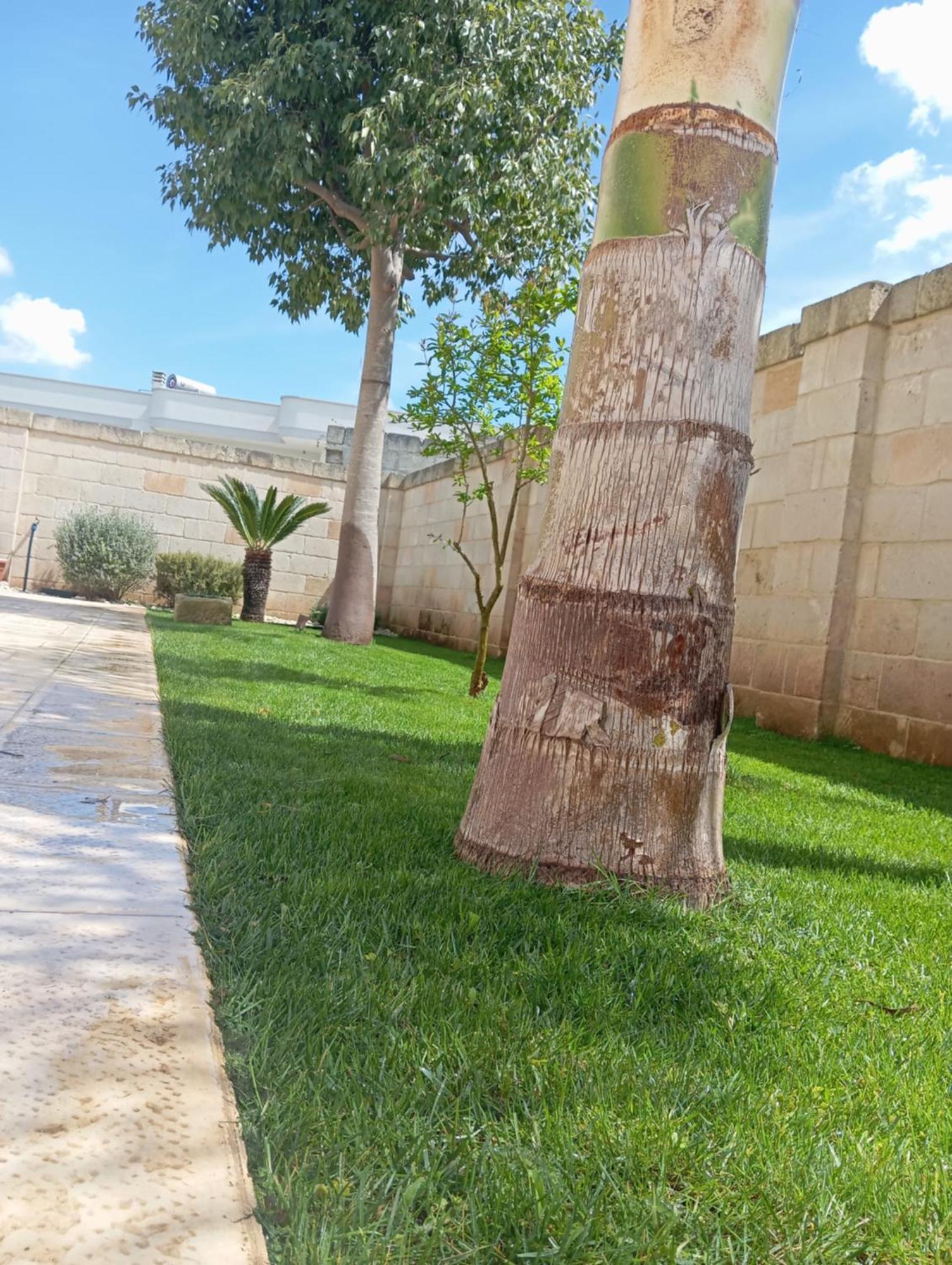 Villa Serena Bagnolo del Salento Bagian luar foto